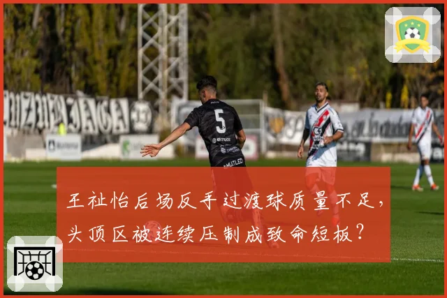 王祉怡后场反手过渡球质量不足,头顶区被连续压制成致命短板?