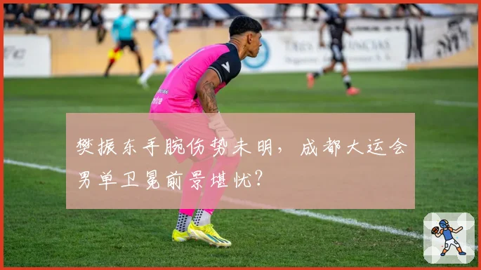 樊振东手腕伤势未明，成都大运会男单卫冕前景堪忧？